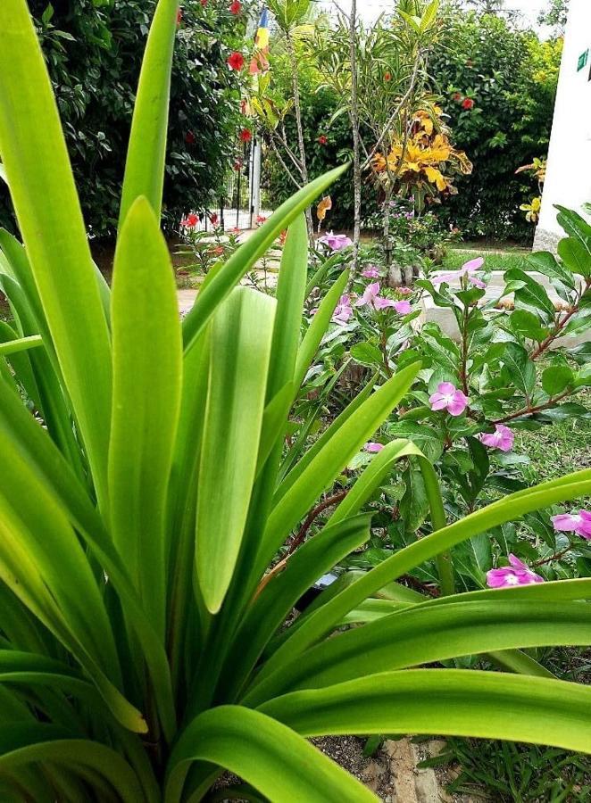 La Source Self Catering Hotel La Digue Bagian luar foto